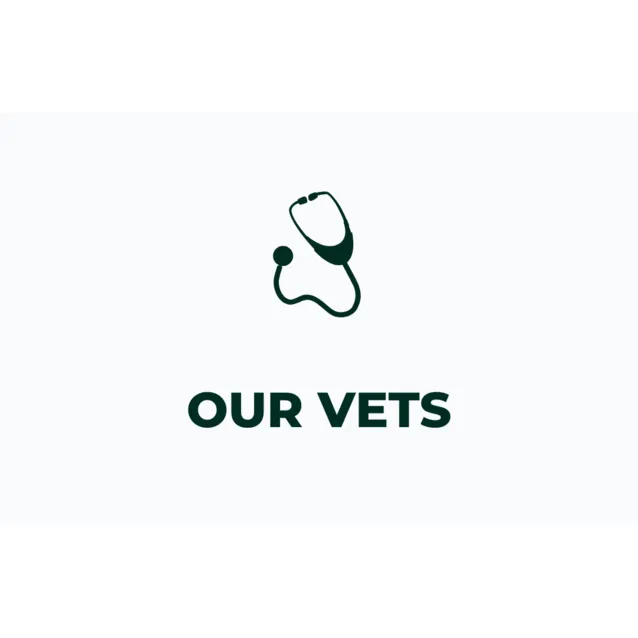 OurVeterinarians