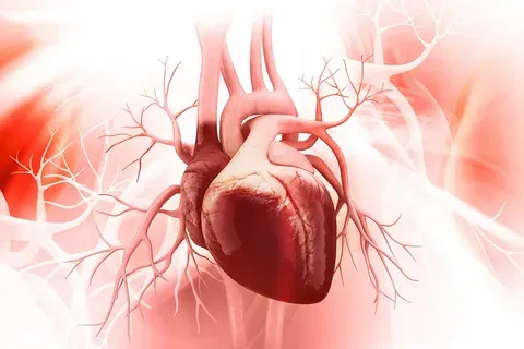 heart pipe