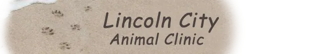 Lincoln City Animal Clinic