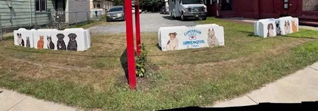 Thank-you Hannah for painting!