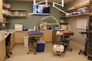 Dental Suite