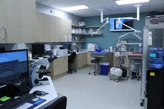Dental Suite