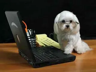 computerdog3.jpg