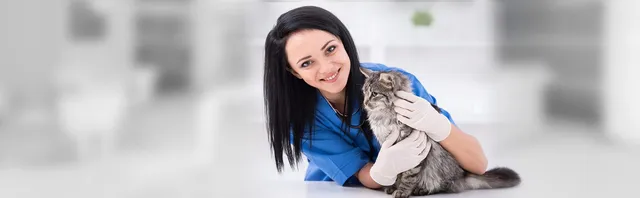 Veterinarian 