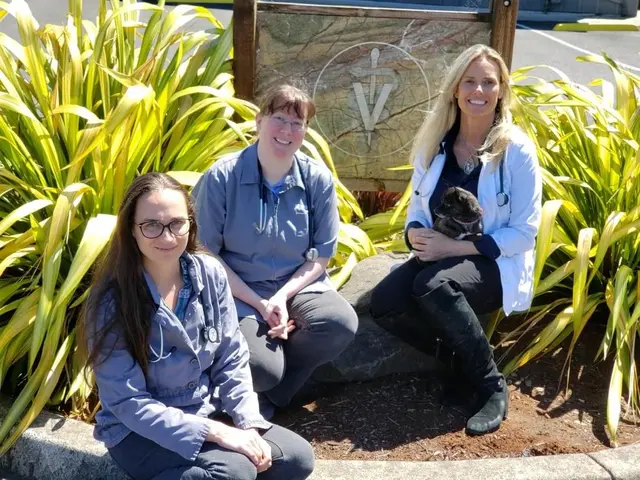 The doctors of Lincoln City Animal Clinic 