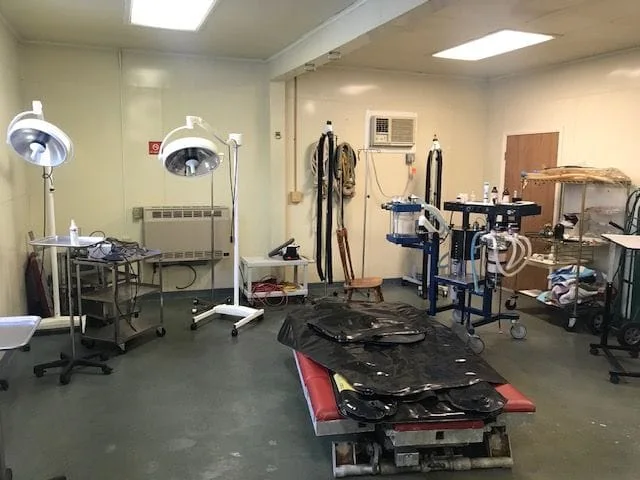 Surgical Suite at Warwick Equine