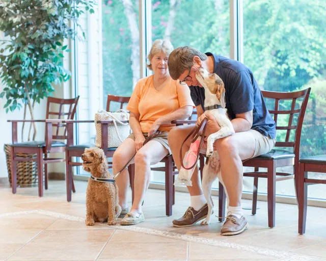 Image of a pig looking at a piggy bank. 