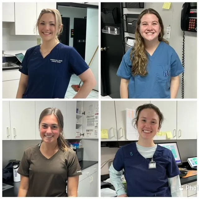 pt techs