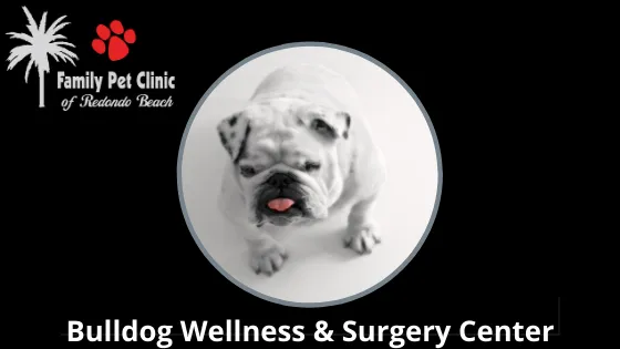 Bulldog Wellness & Surgery Center Family Pet Clinic of Redondo Beach