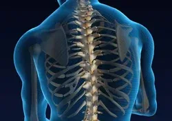 Spinal Care