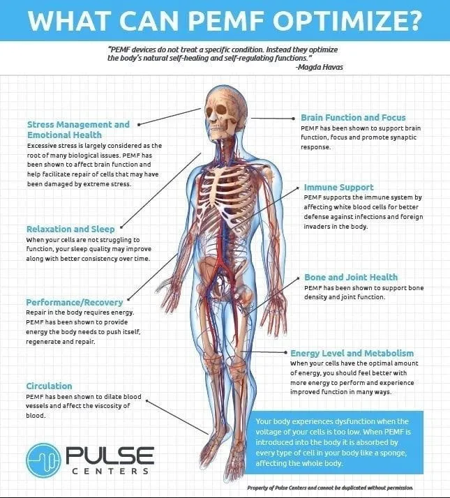 PulseCenter Body Poster