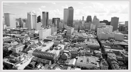 General Corporate Representation Lawyer / Attorney