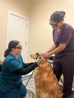 Laser Therapy