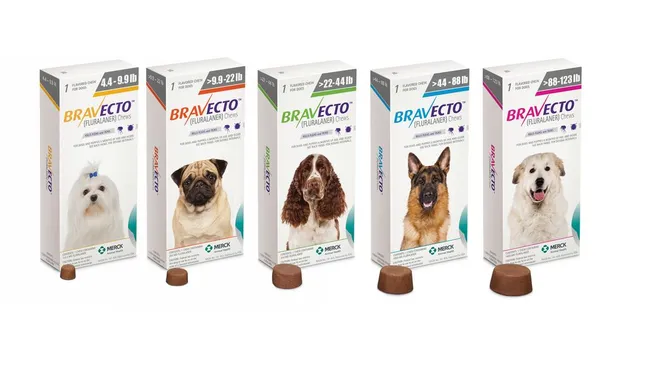 Bravecto flea clearance medicine for dogs