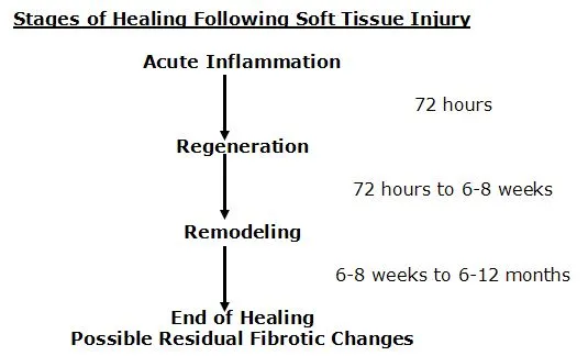 Tissue healing and low level laser article