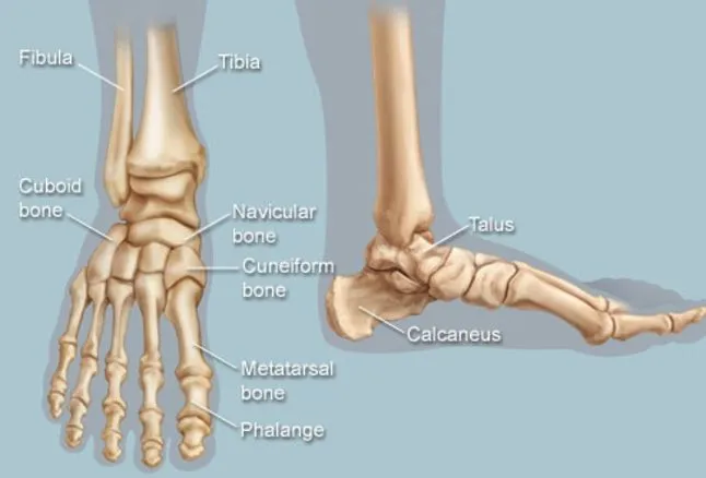 foot pain sheboygan