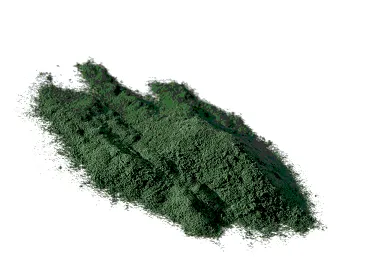 Spirulina