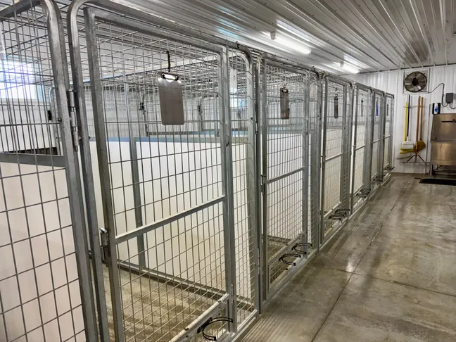 kennel