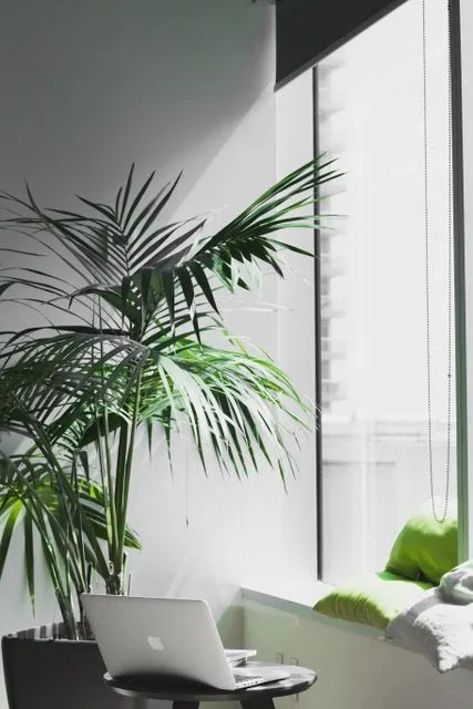 computer next to a small palm tree