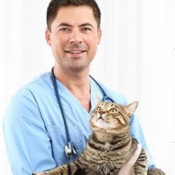 vet with cat