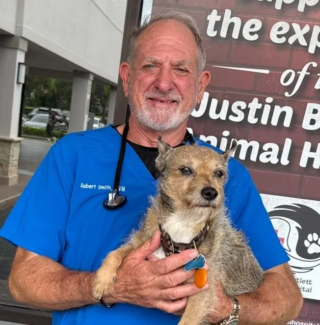 dr robert smith dvm