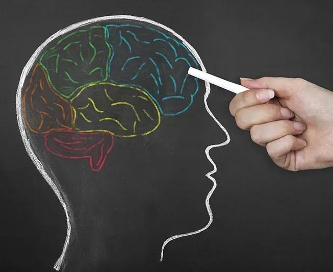 Learn More About Brainspotting from Media