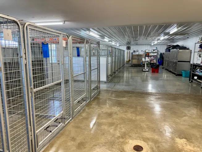 kennel