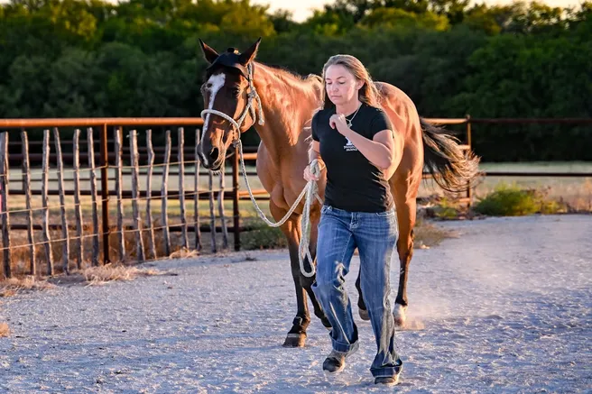 jogging horse