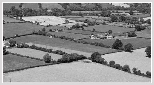 Land Use Lawyer / Attorney