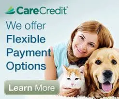 care credit