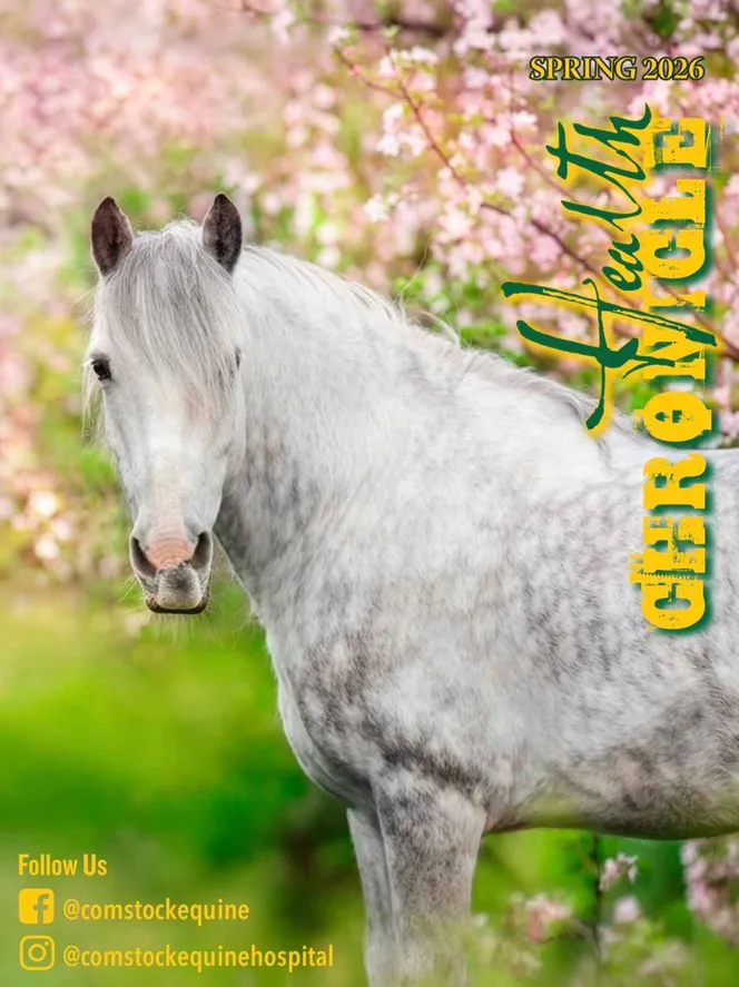 Spring 2026: "Equine Nutrition: Feeding the Horse for Health and Performance"