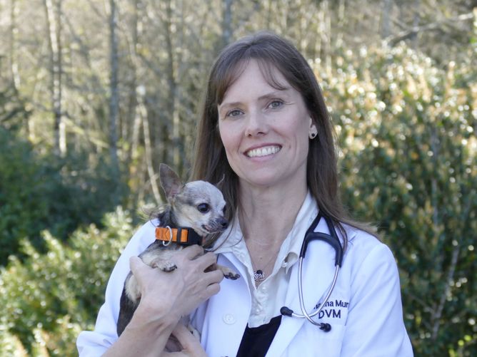 Lincoln City Animal Clinic Veterinarian in Lincoln City, OR US