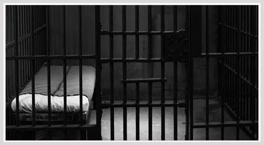 Felonies Lawyer / Attorney