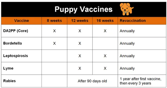 puppy vaccines