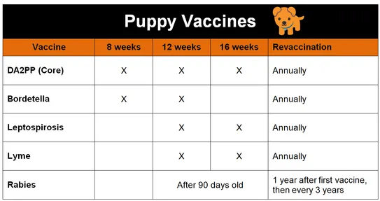 how many da2pp shots does a puppy need