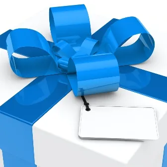 Wrapped_Blue_Present_3.jpg