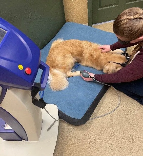 laser-therapy-2