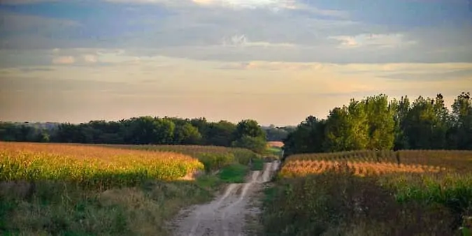 path through field