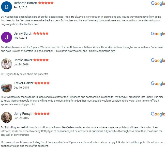 Polk Vet Care Google Reviews