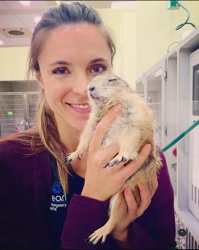 Exotic Veterinary Care FAQs