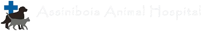 Assiniboia Animal Hospital