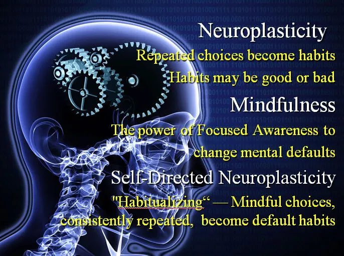 Neuroplasticity