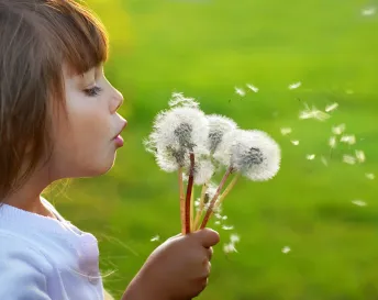 bigstock_Fun_with_dandelions_17487830_1.jpg