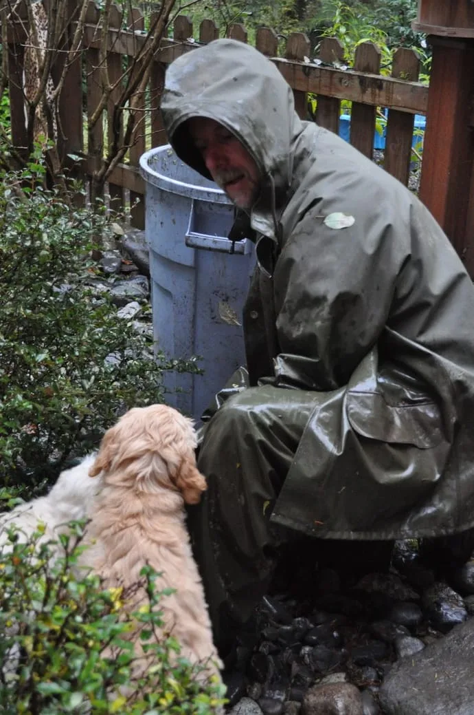 Desensitize your pup to people who dress differently