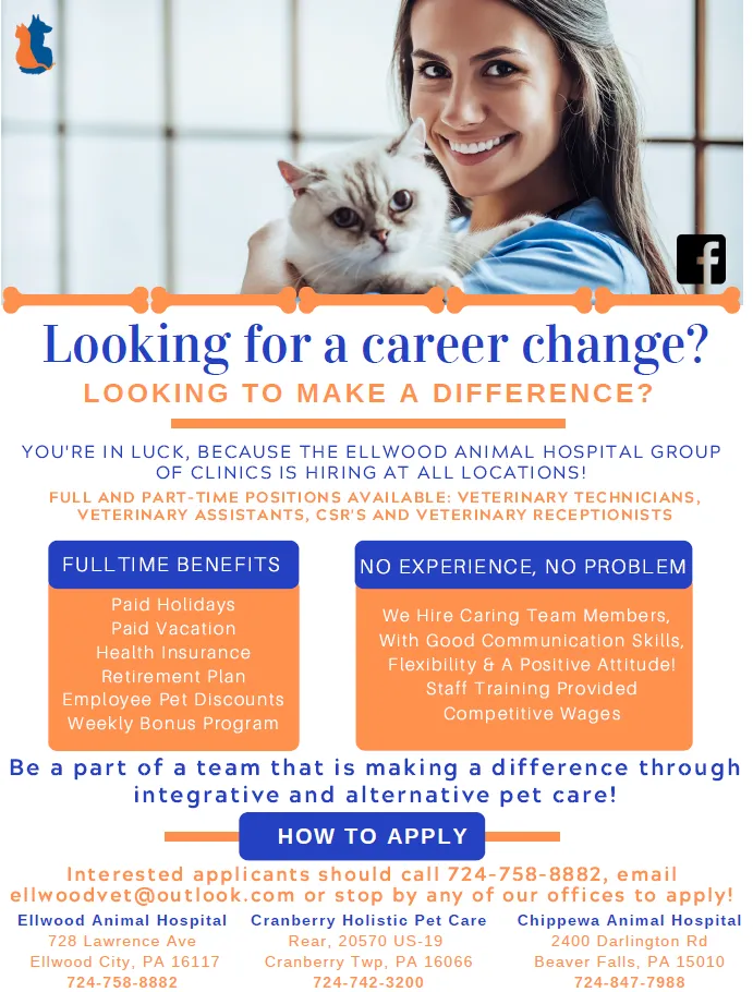 jobs