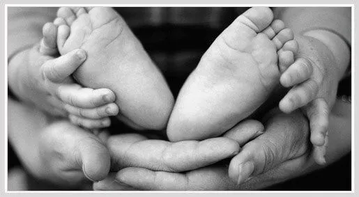 Child Support Lawyer / Attorney