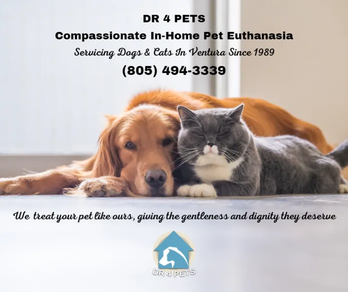 DR 4 PETS Ventura pet euthanasia