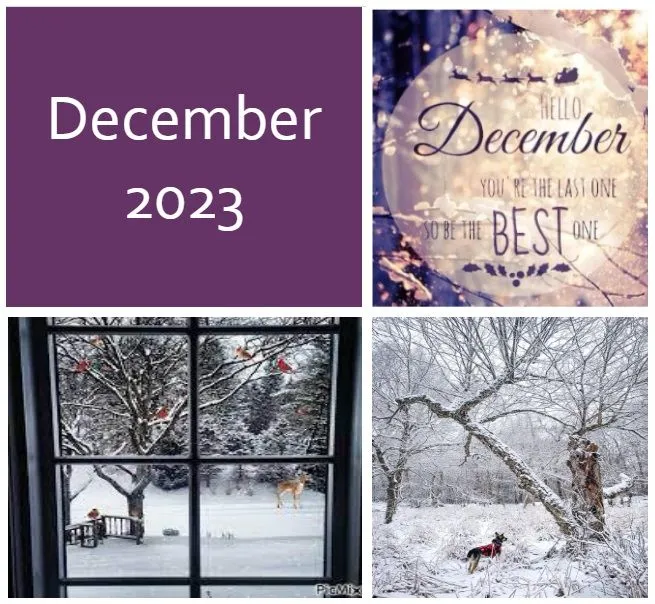 December-newsletter-header