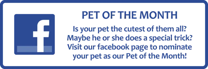 Pet of the month