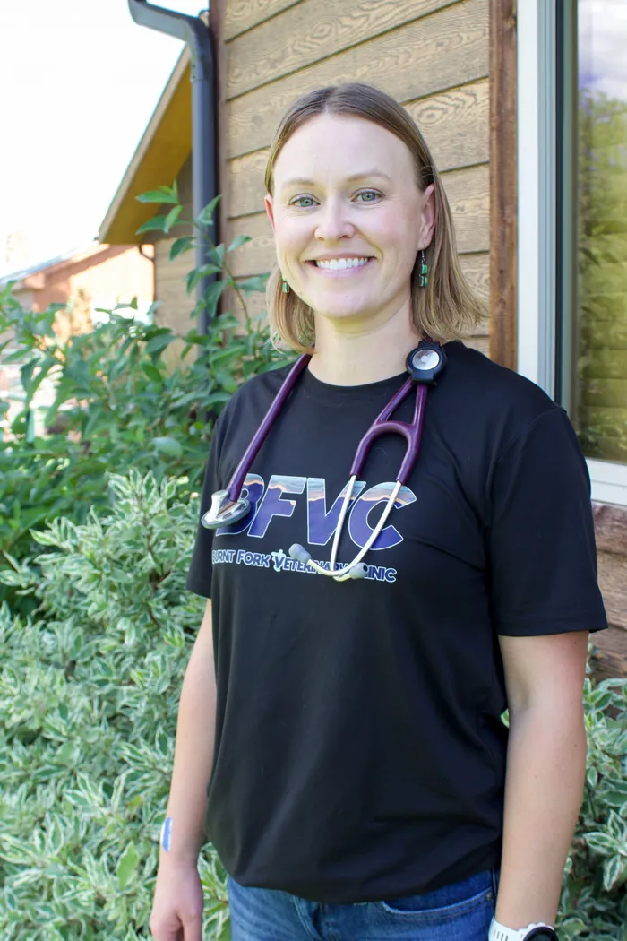 Dr. Kirstin Bull, DVM